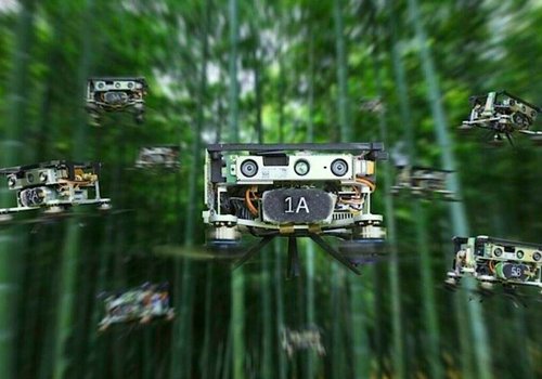 Рой автономных дронов способен ориентироваться в бамбуковом лесу